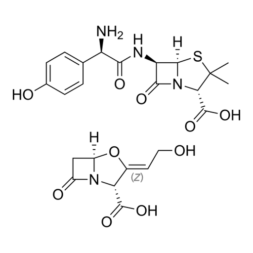 amoxicillin