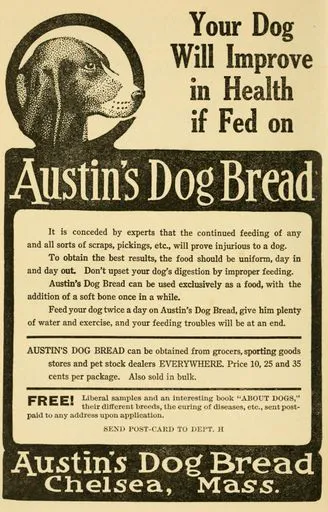 dog food