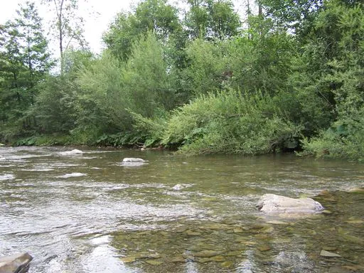 flow