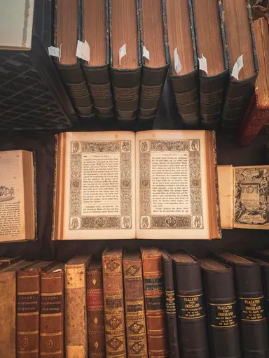 mla citation