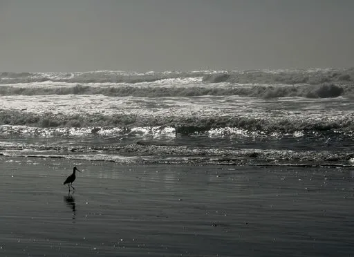 ocean