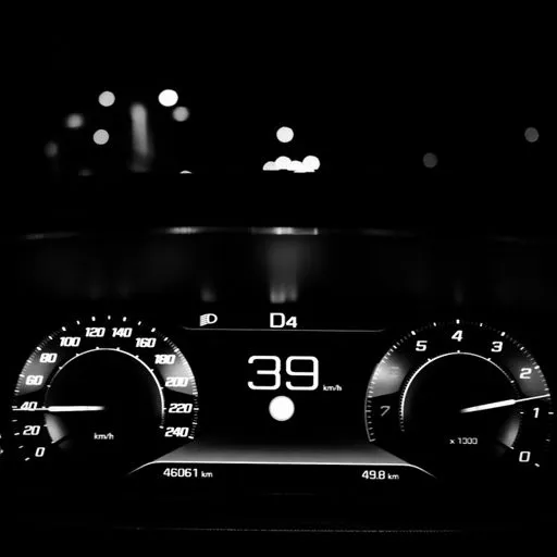speed